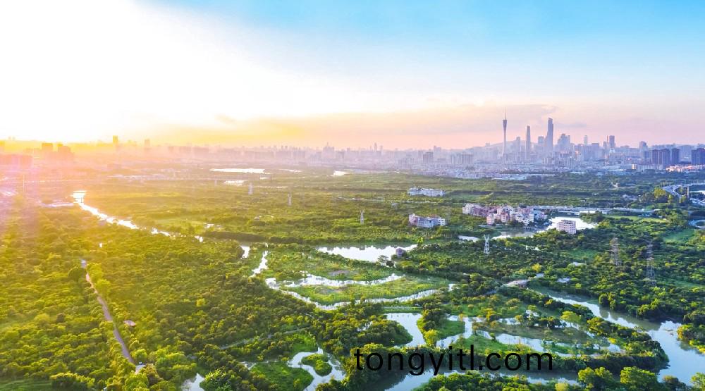 爲民打造(zao)城(cheng)市(shi)綠(lv)洲